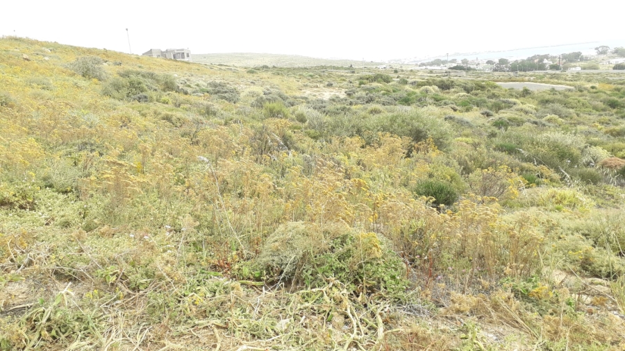 0 Bedroom Property for Sale in St Helena Views Western Cape